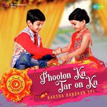 Phoolon Ka Taron Ka - Raksha Bandhan Spl - Anil Kumar Song Download